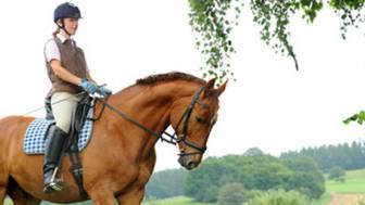 Reiten für die Gesundheit