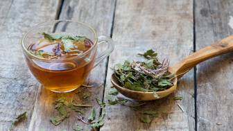 Selbstgemachter Kräutertee - Tipps für Anbau, Trocknung und Lagerung