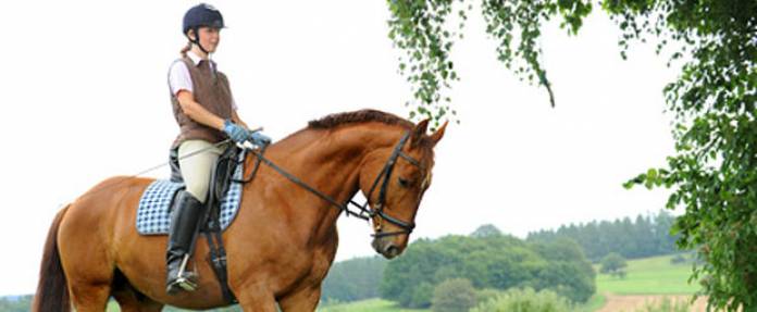 Reiten für die Gesundheit