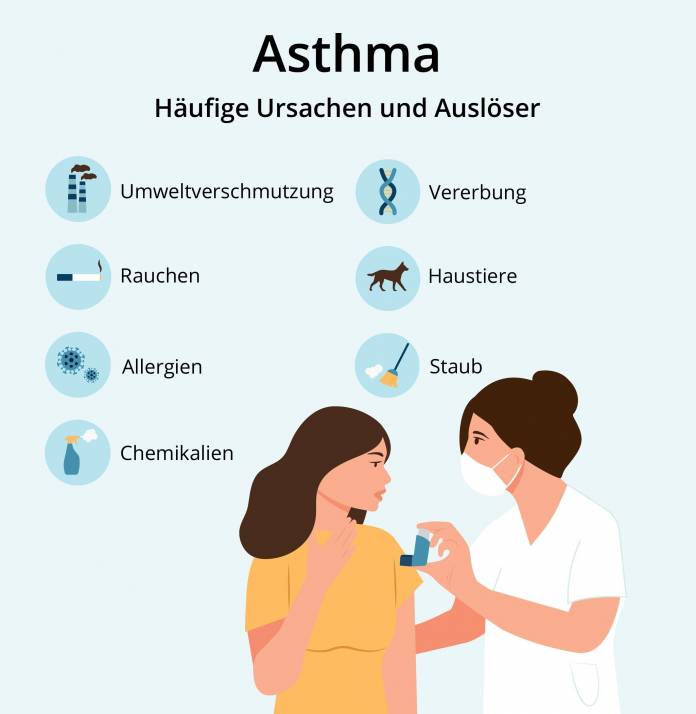 Asthma Ursachen und Auslöser